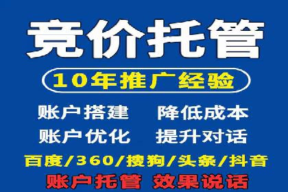 SEM搜索引擎优化成功案例，揭示优化策略与技巧